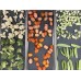Профессиональная машина для сублимационной сушки продуктов FD-06H